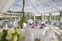 Glasshouse at Combermere Wedding Venue